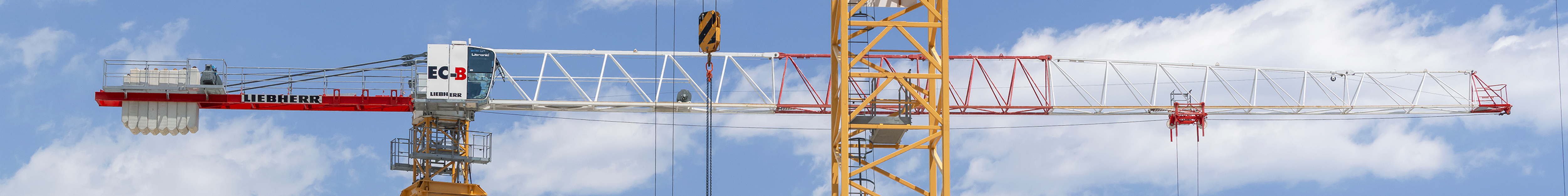 Banner piano 2026 - Struttura.jpg