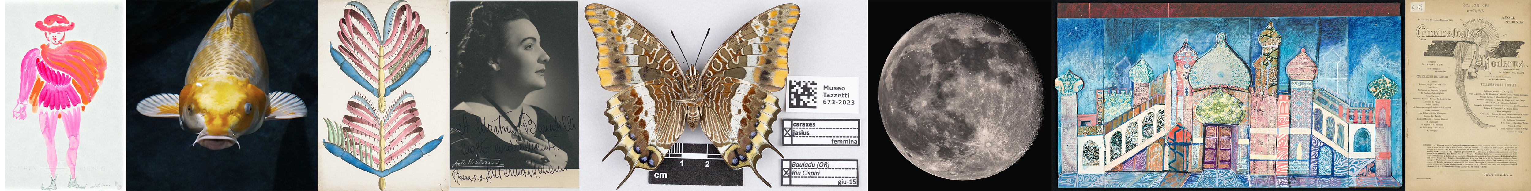 Banner piano 2026 - Contenuti liberi.jpg