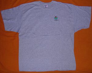 Maglietta grigia WikiMedia.jpg