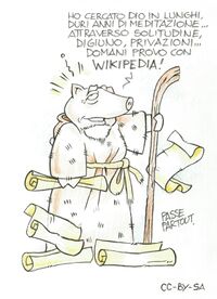 strip drawn by Passpartout for Wikimedia Italia at Cartoon Village 2011